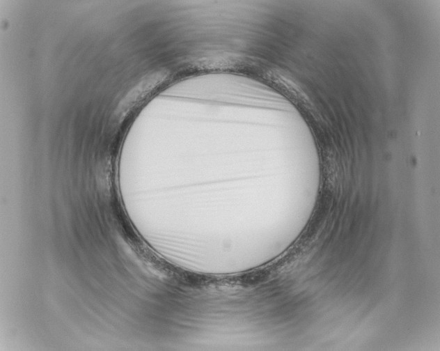 X0000069810586200606161851