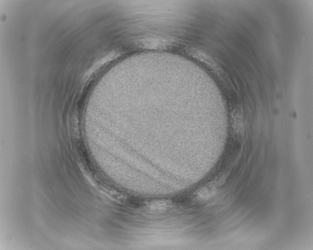 X0000069810587200606161851