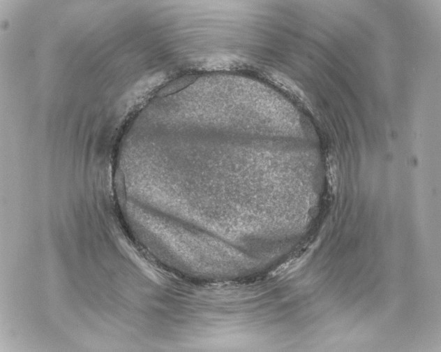 X0000069810589200606161851