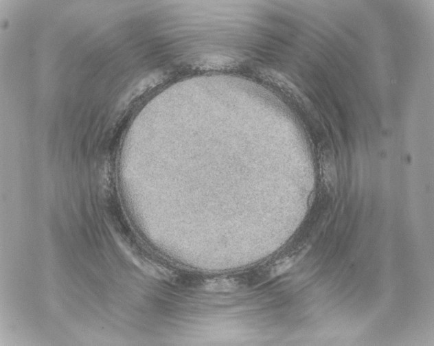 X0000069810591200606161851