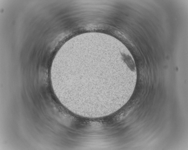 X0000069810592200606161851