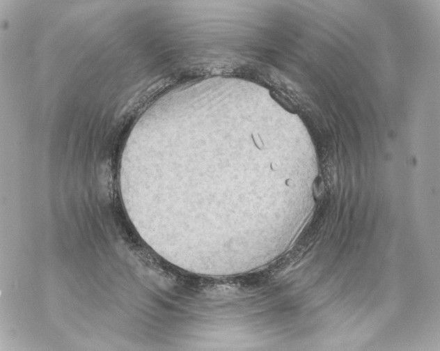 X0000069810594200606161851