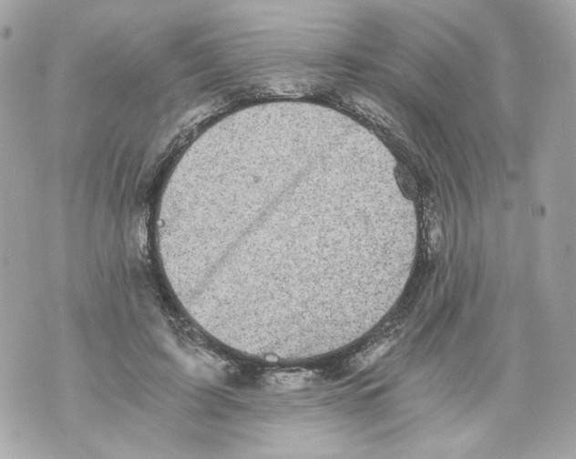 X0000069810595200606161851