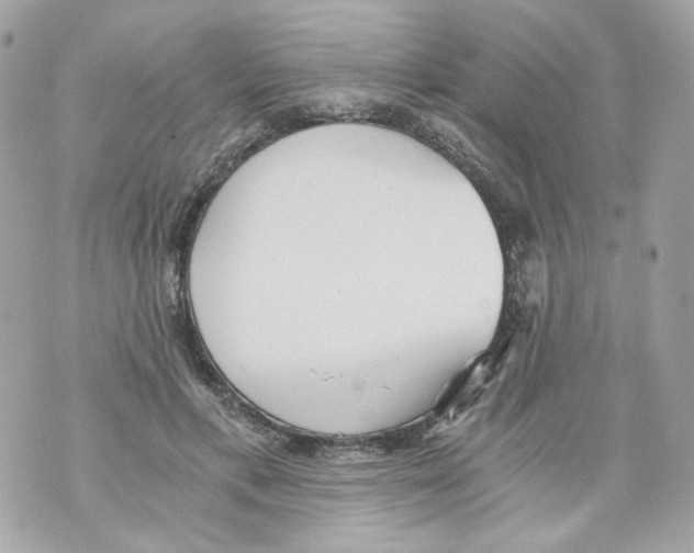 X0000069810597200606161851