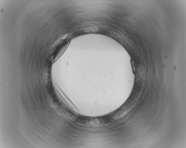 X0000069810600200606161851