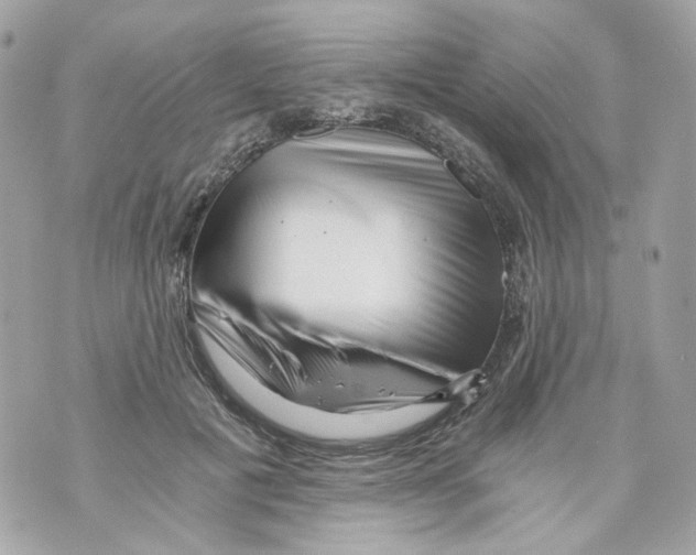 X0000069810601200606161851