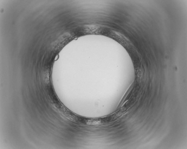 X0000069810602200606161851