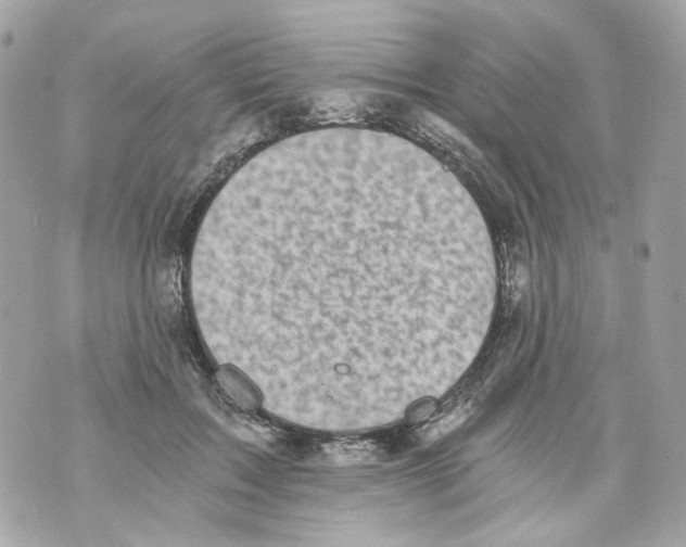 X0000069810603200606161851