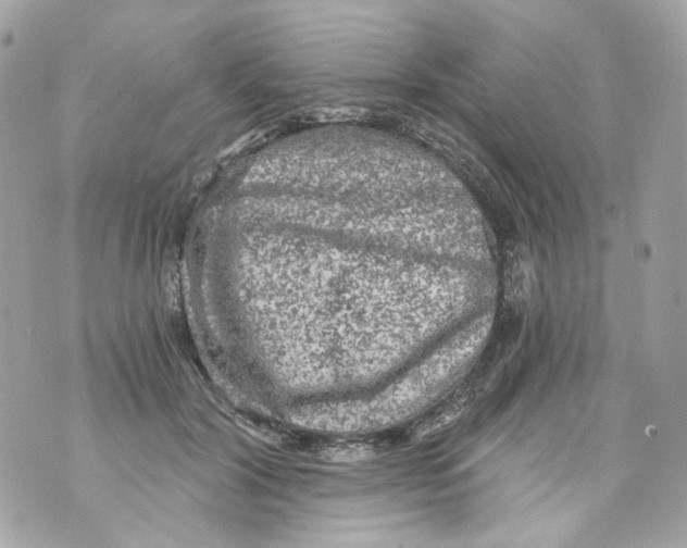 X0000069810604200606161851