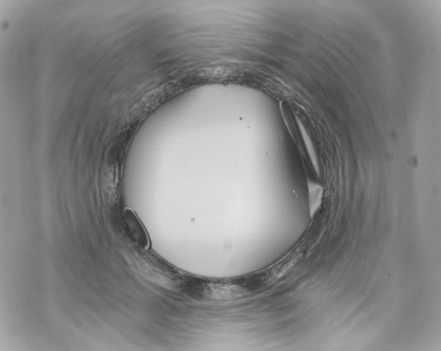 X0000069810605200606161851