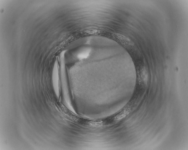 X0000069810606200606161851