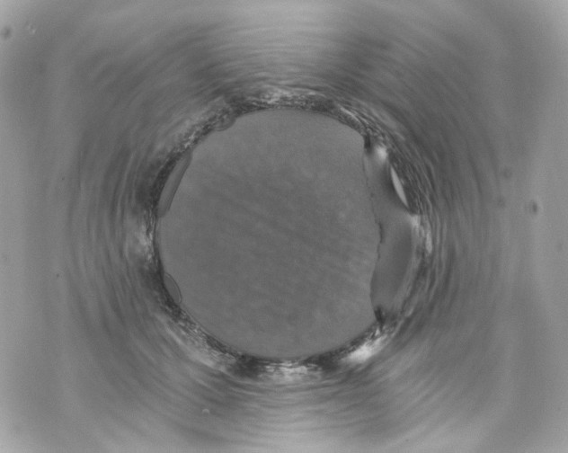 X0000069810607200606161851