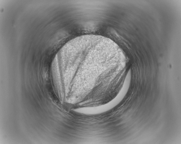 X0000069810608200606161851