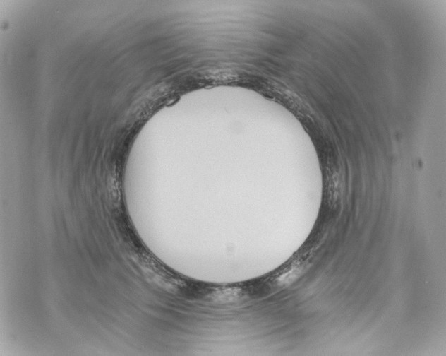 X0000069810609200606161851