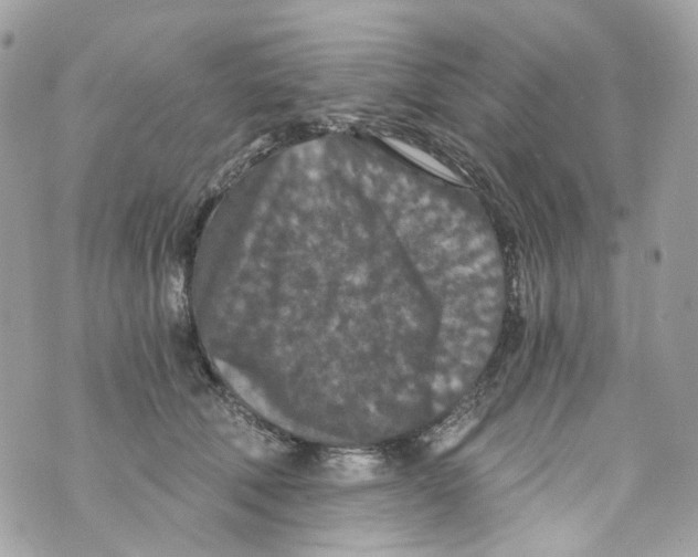 X0000069810610200606161851