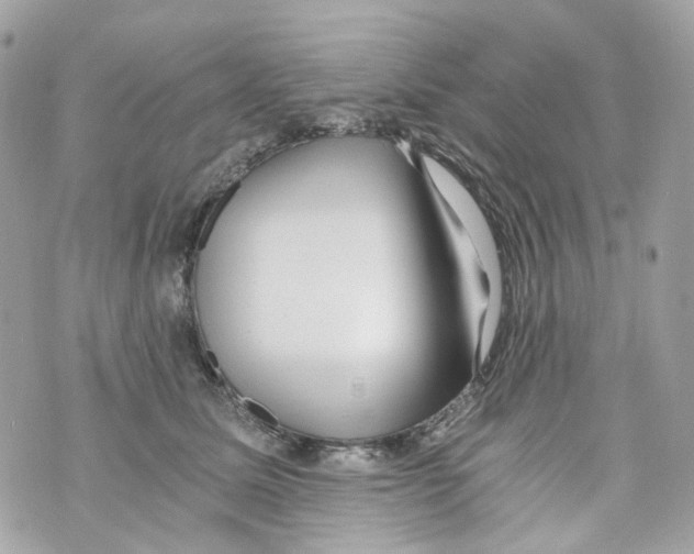 X0000069810611200606161851