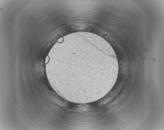 X0000069810612200606161851