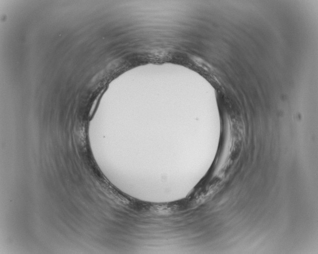 X0000069810613200606161851