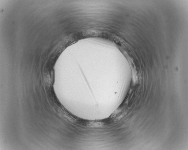 X0000069810617200606161851