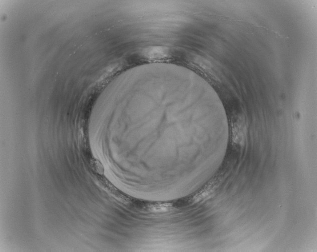 X0000069810618200606161851