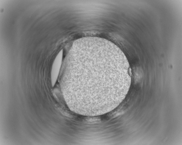 X0000069810619200606161851