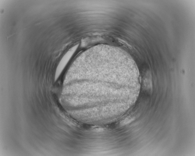 X0000069810620200606161851