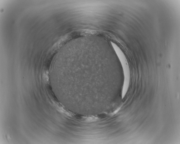 X0000069810621200606161851