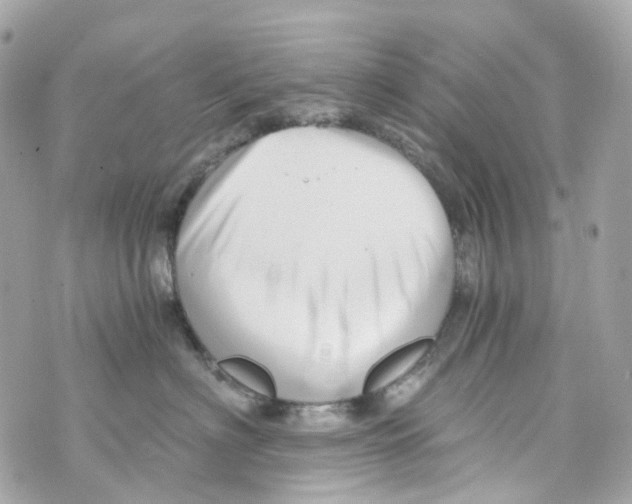 X0000069810622200606161851