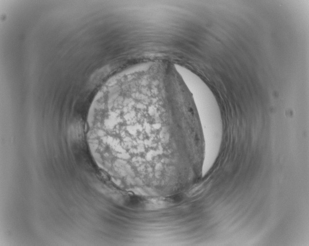 X0000069810623200606161851