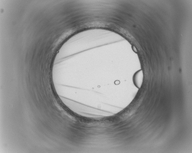 X0000069810625200606161850