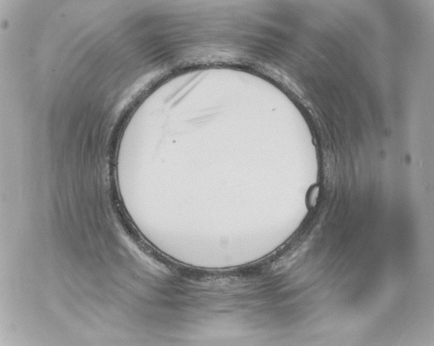 X0000069810629200606161850