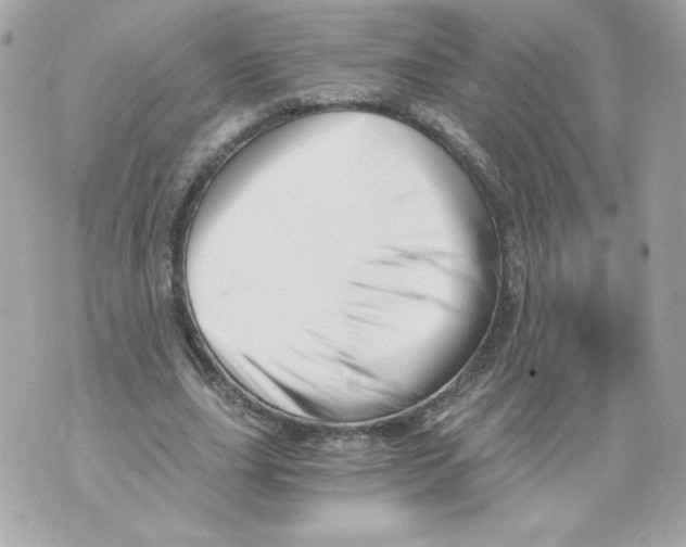 X0000069810631200606161850