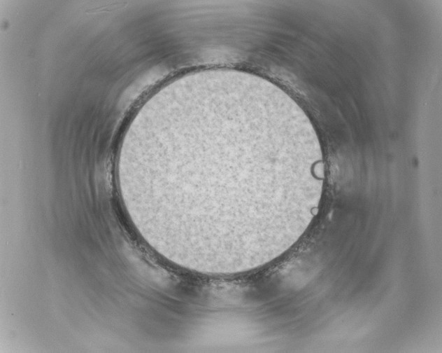 X0000069810632200606161850