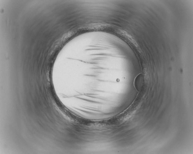 X0000069810633200606161850