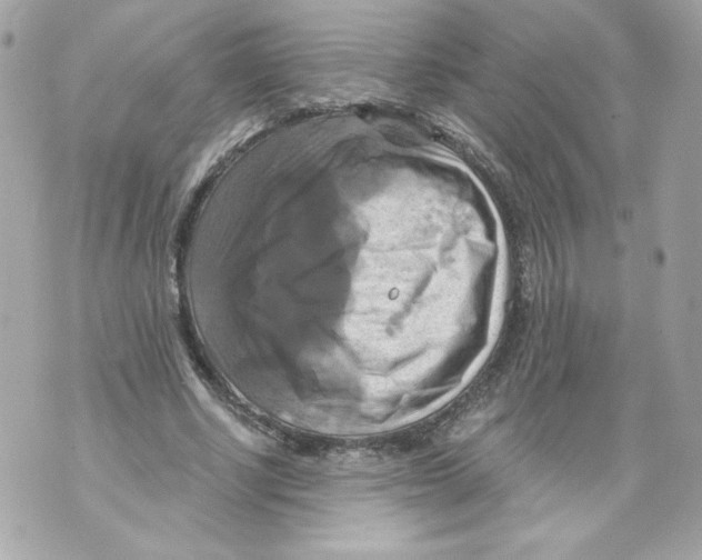 X0000069810634200606161850