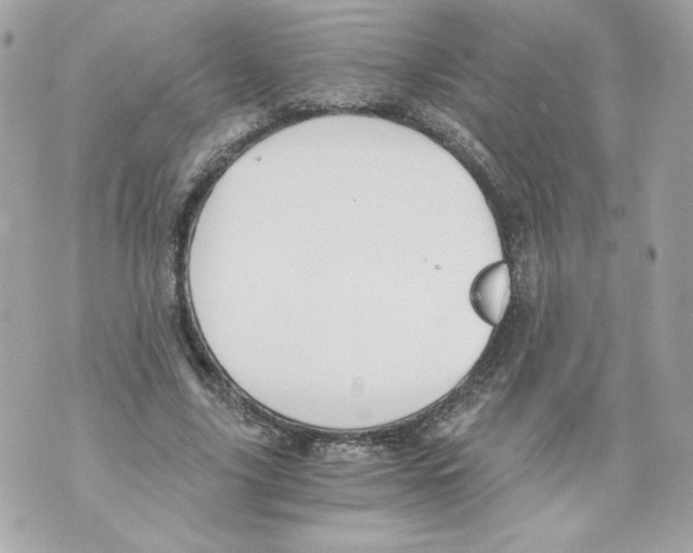 X0000069810635200606161850