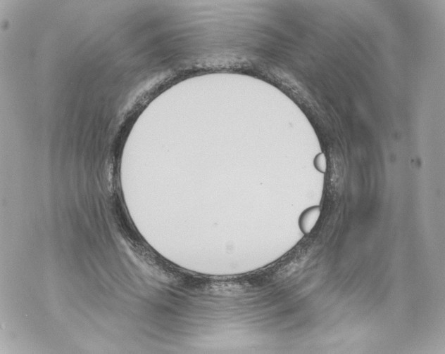 X0000069810636200606161850