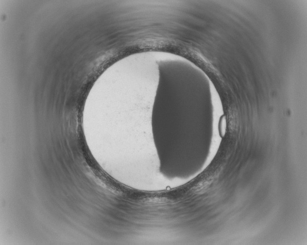 X0000069810637200606161850