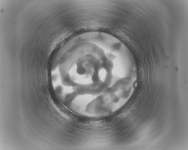 X0000069810638200606161850