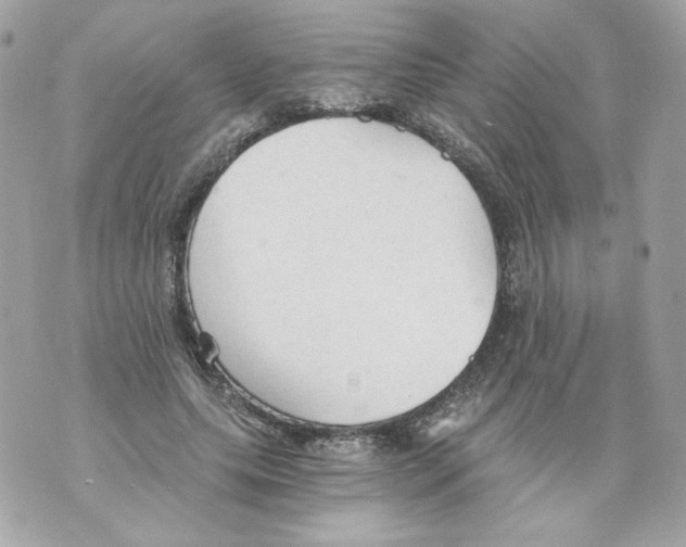 X0000069810639200606161850