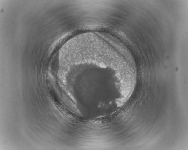 X0000069810640200606161850