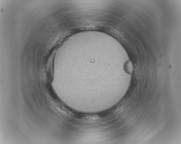 X0000069810642200606161850