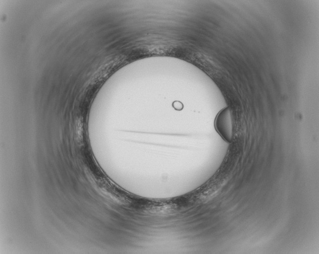 X0000069810646200606161850