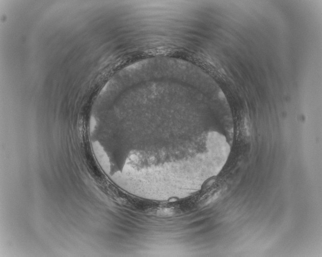 X0000069810647200606161850