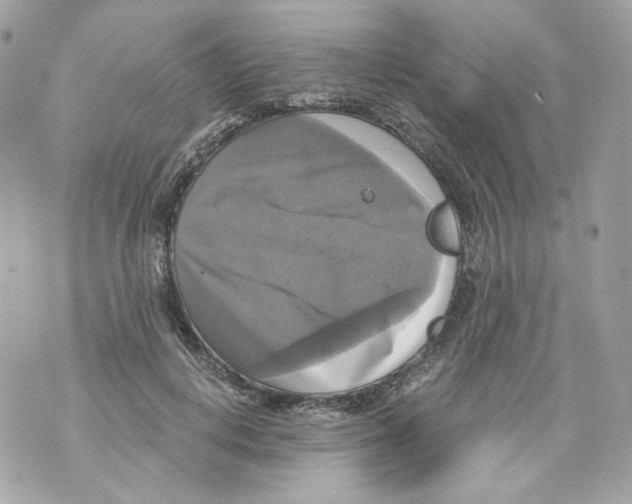 X0000069810648200606161850