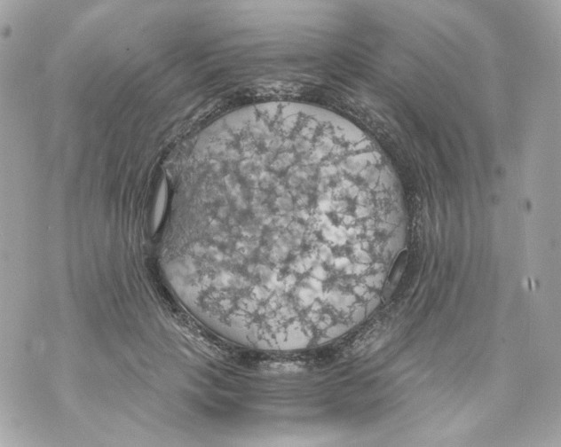 X0000069810649200606161850