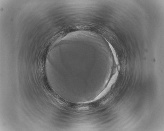 X0000069810653200606161850