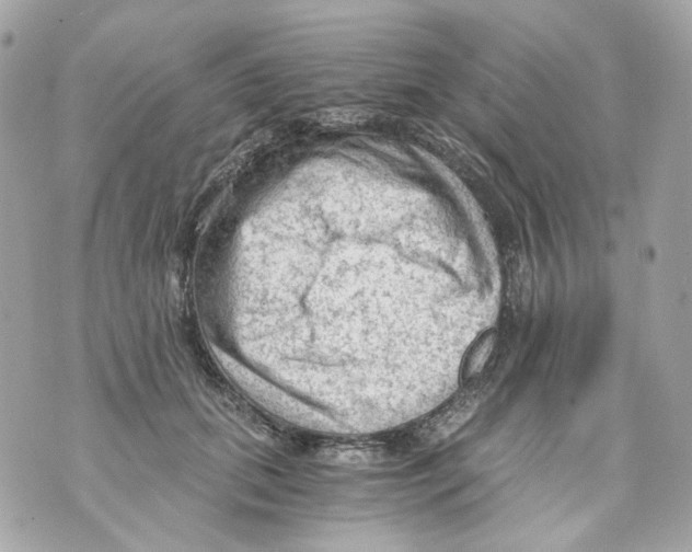 X0000069810655200606161850