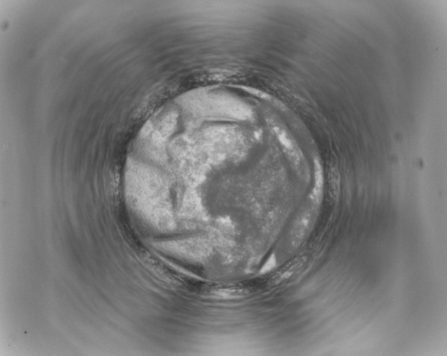 X0000069810657200606161851