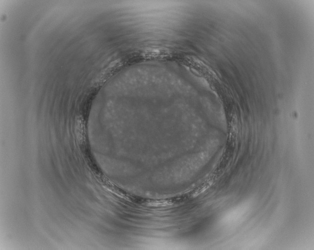 X0000069810659200606161851